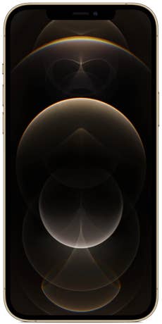 Apple iPhone 12 Pro Max Vorderseite