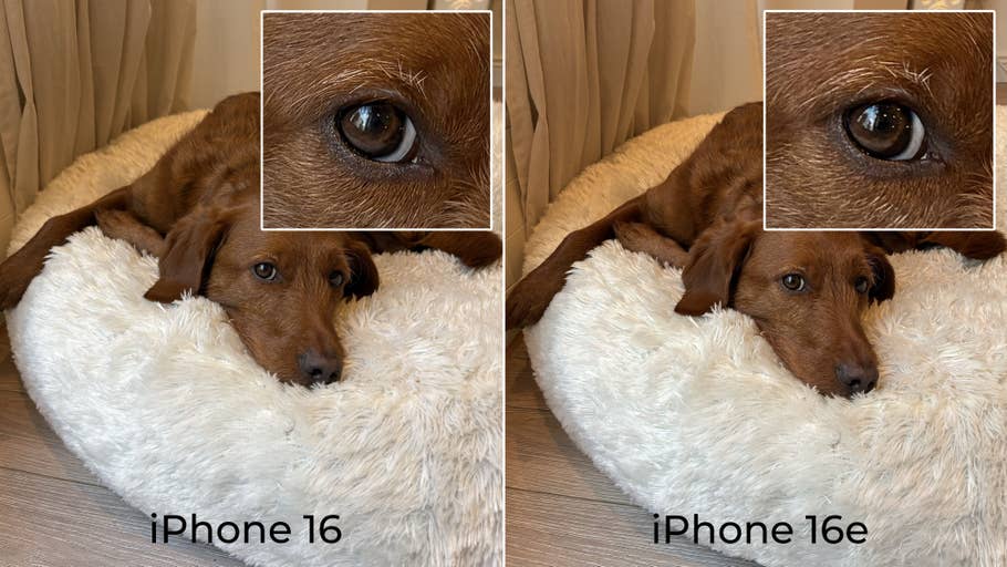 Testfoto: Apple iPhone 16e
