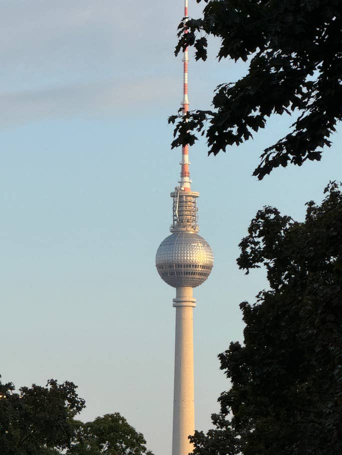 Der Berliner Fernsehturm, eingerahmt von Bäumen bei Sonnenuntergang.