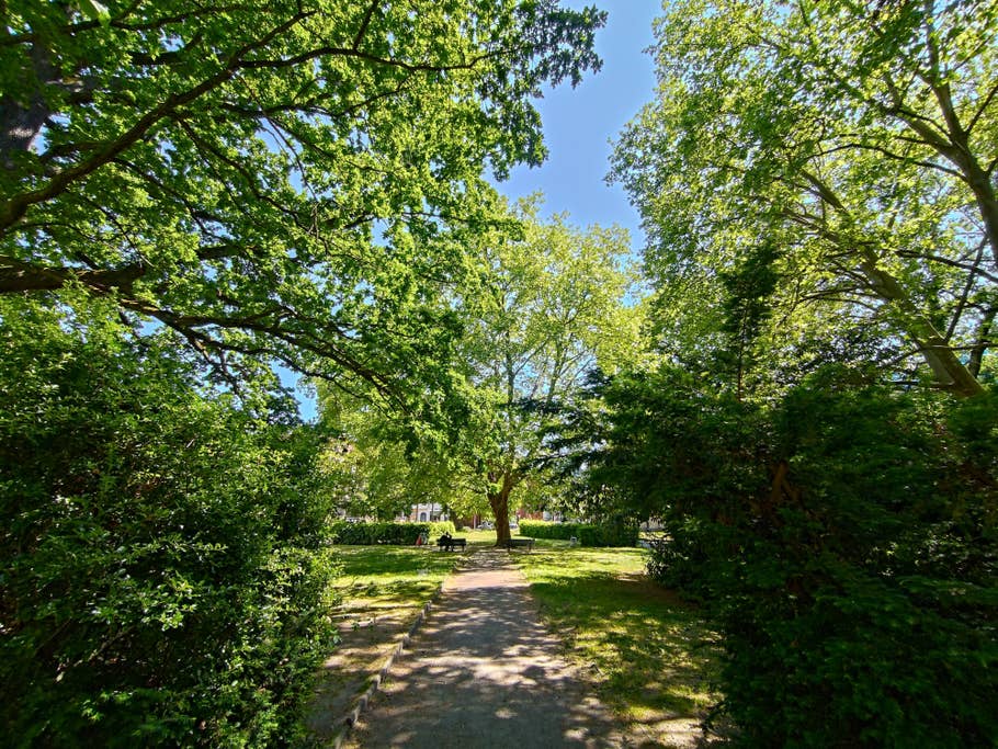 Testfoto Asus ROG Phone 7 Ultimate