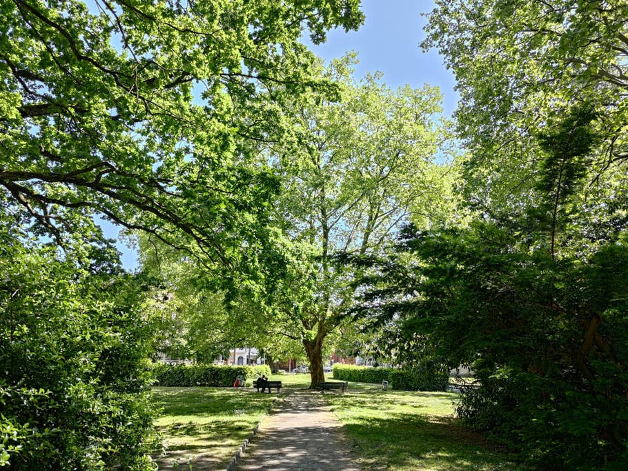 Testfoto Asus ROG Phone 7 Ultimate