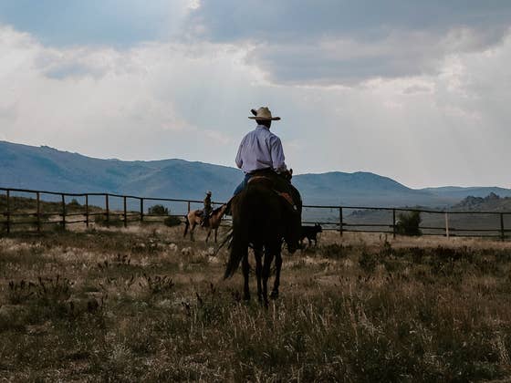8,8 von 10: Das ist der beste Western aller Zeiten