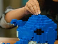 Eine Person baut ein blaues LEGO-Haifischmodell mit Fokus auf den oberen Teil zusammen.
