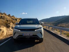 Bekommt BYD Probleme?