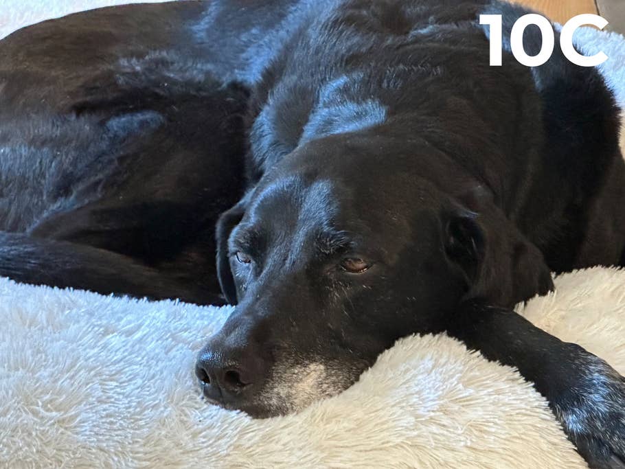 Kamera-Blindtest 2023