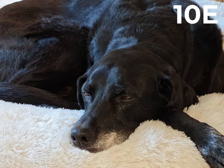 Kamera-Blindtest 2023