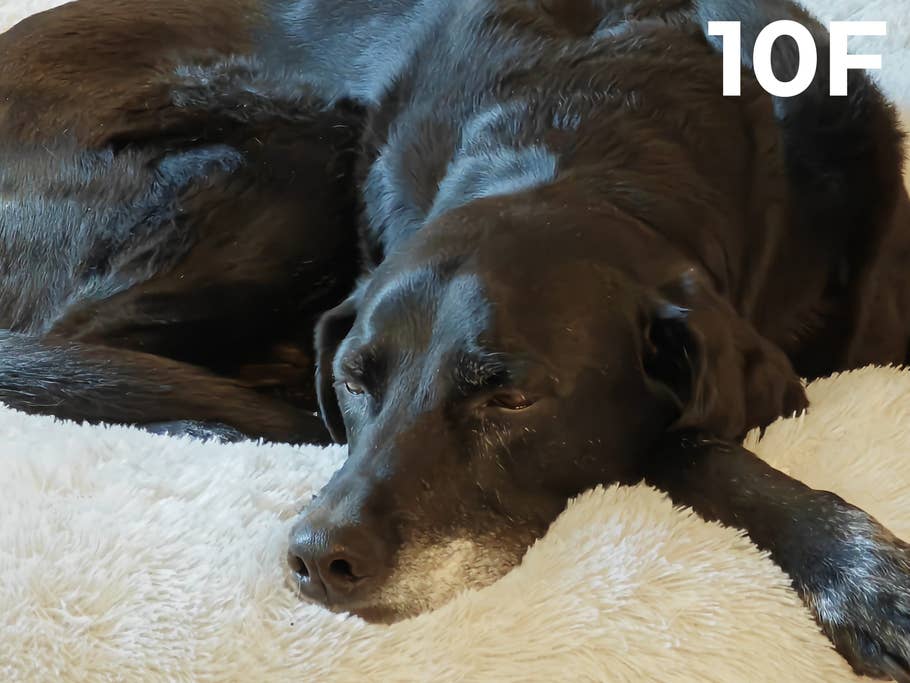 Kamera-Blindtest 2023