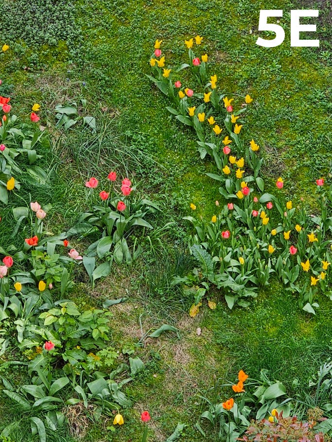 Kamera-Blindtest 2023