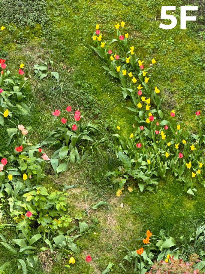 Kamera-Blindtest 2023