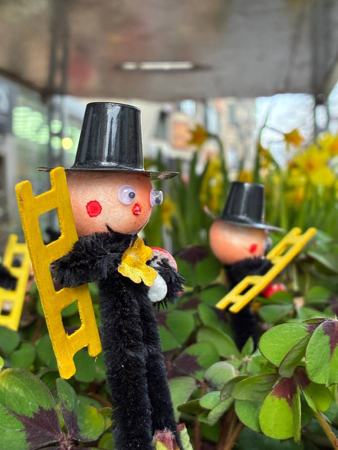 Testfoto: Apple iPhone 16e