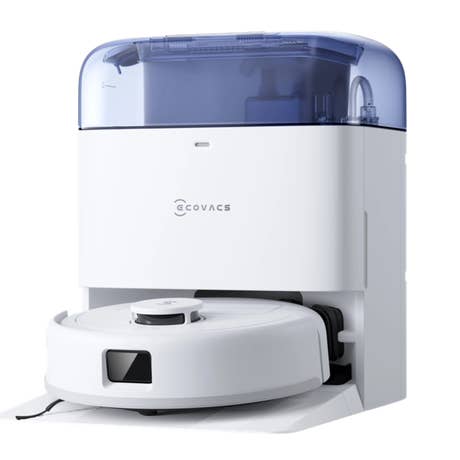 Foto: Saug-wisch-roboter Ecovacs Deebot mini