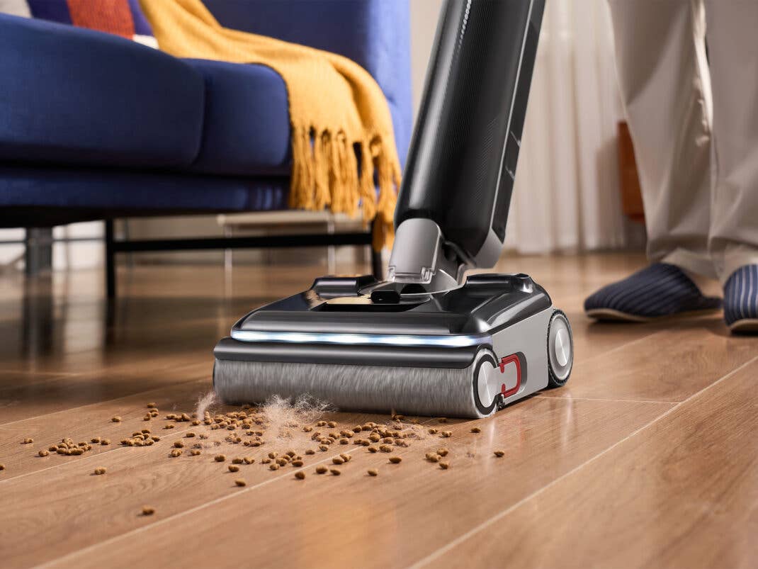 Ein Nass- und Trockensauger reinigt Hundehaare und Futter