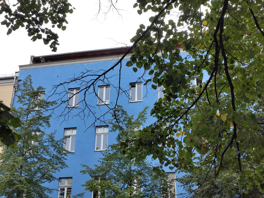 Testfoto des Fairphone 5