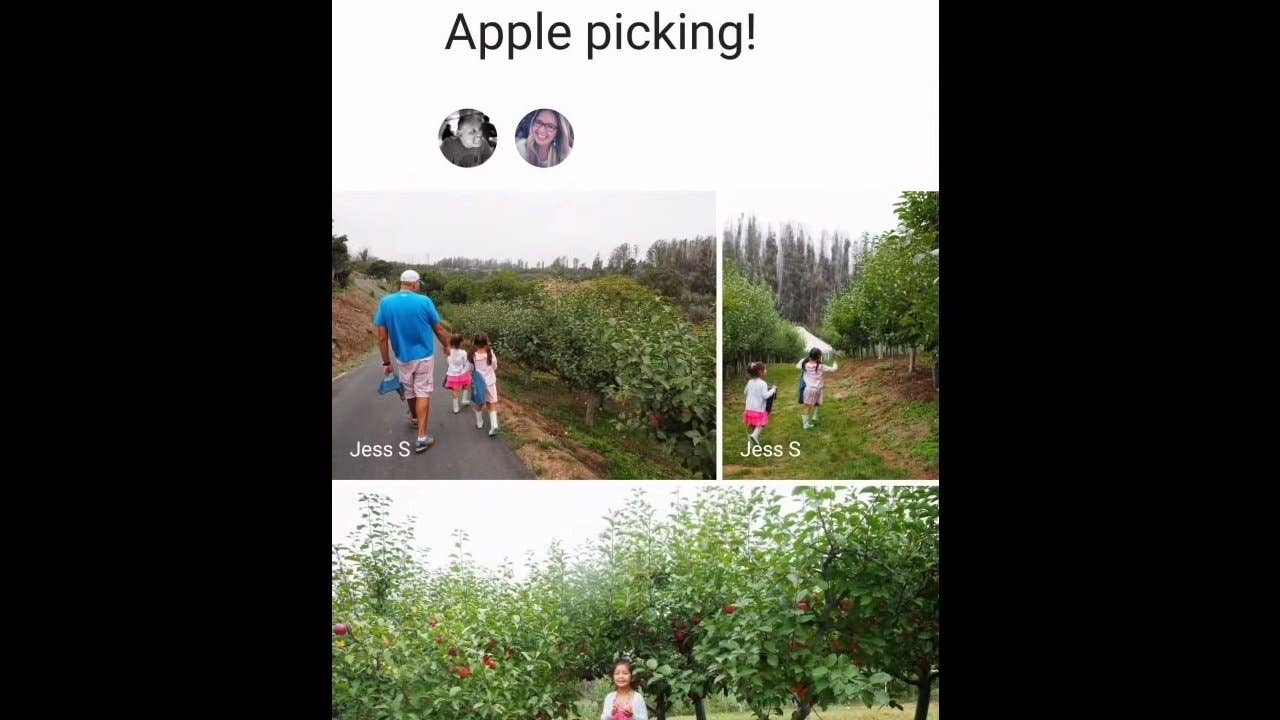 google photos shared albums