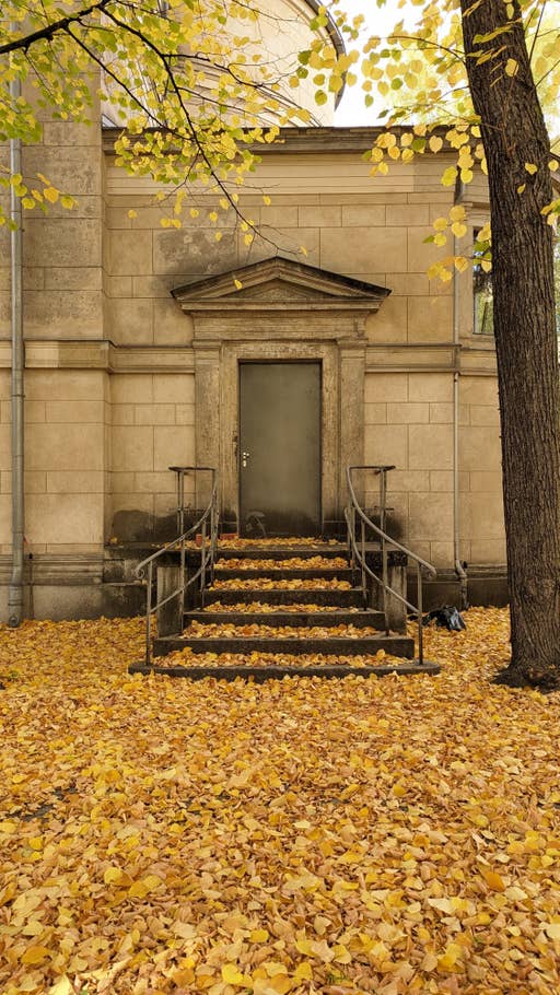 Google Pixel 7 Pro – Beispielfoto