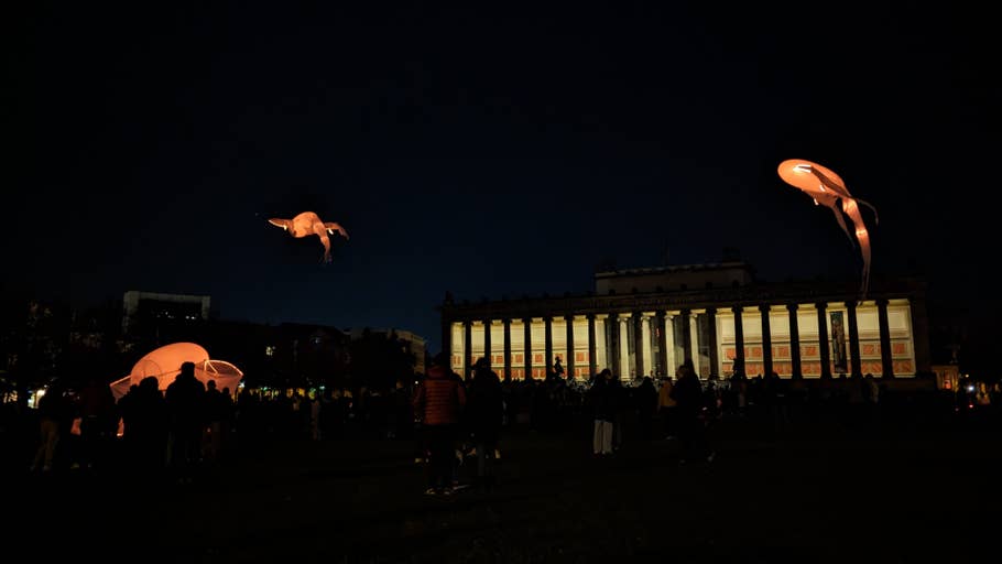 Google Pixel 7 Pro – Beispielfoto