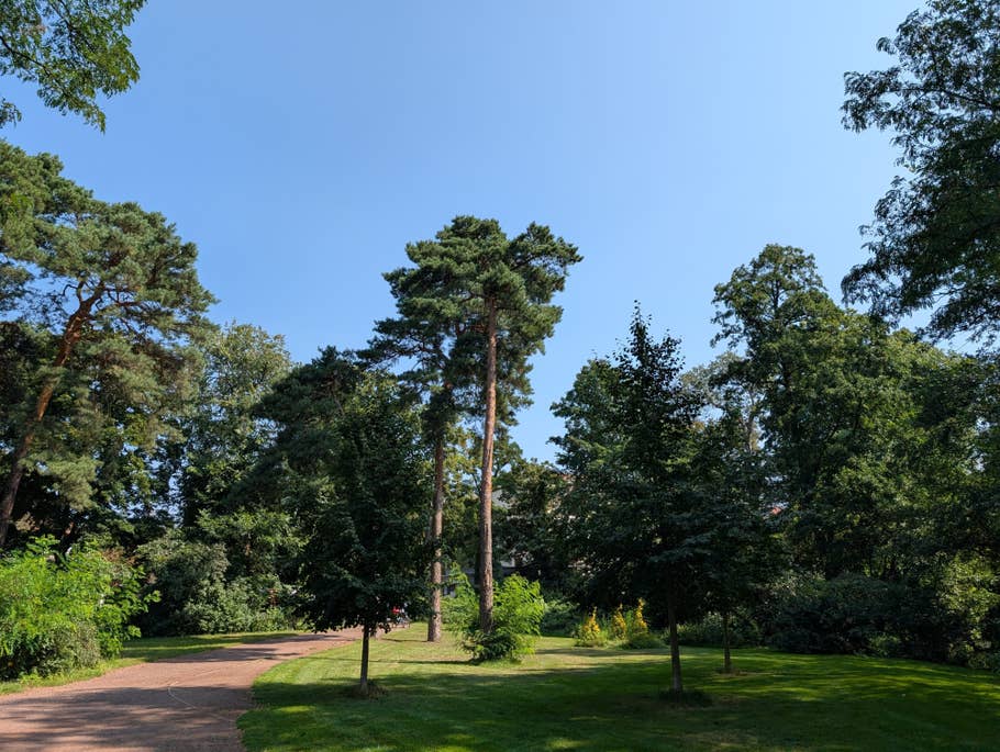 Mit dem Google Pixel 9 Pro XL aufgenommenes Foto bei Tag