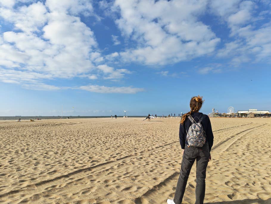 Honor Magic V5 Testfotos