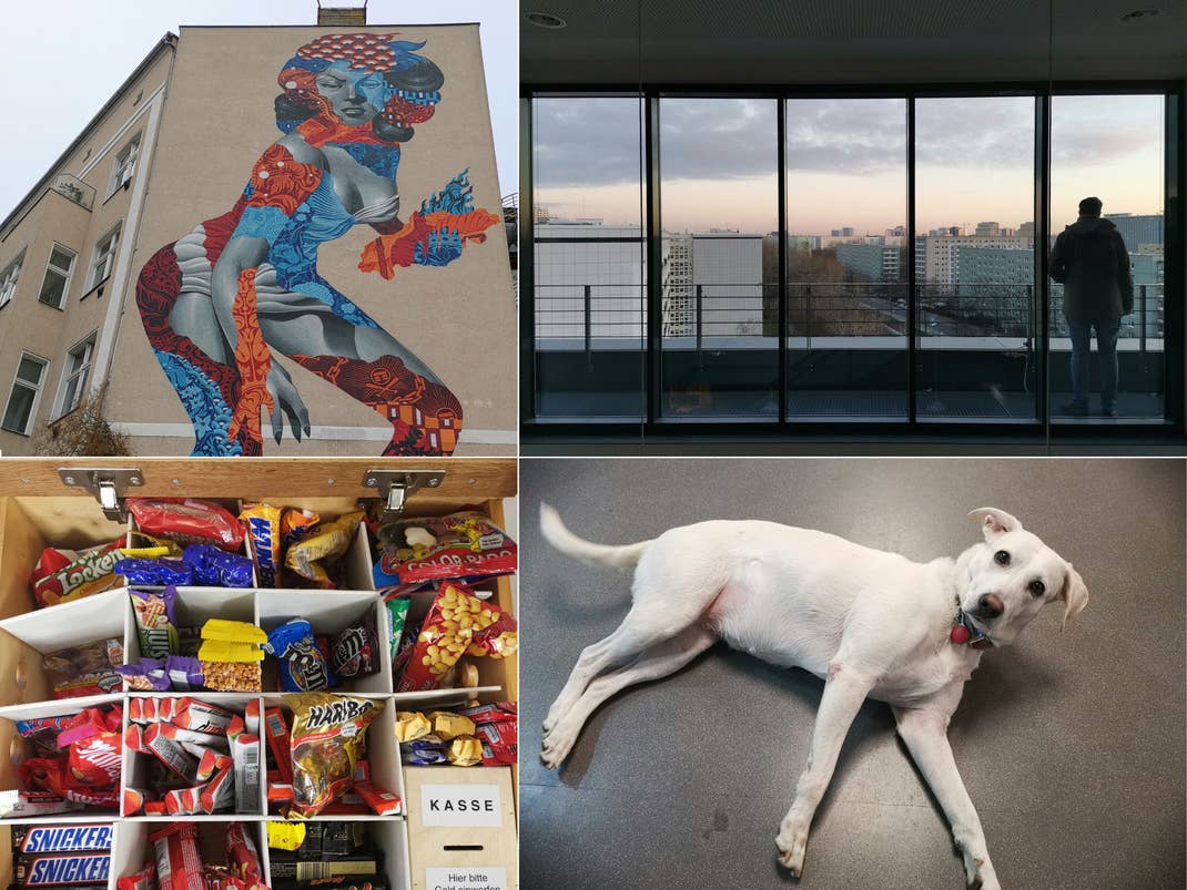 honor view 20 colors