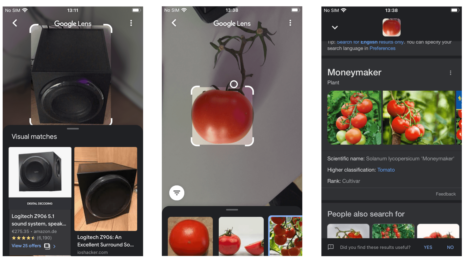 Ein Smartphone zeigt Google Lens mit einem schwarzen Subwoofer und einer roten Tomatenpflanze.