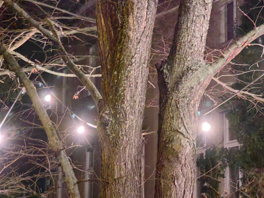 Huawei Mate 50 Pro Testfoto