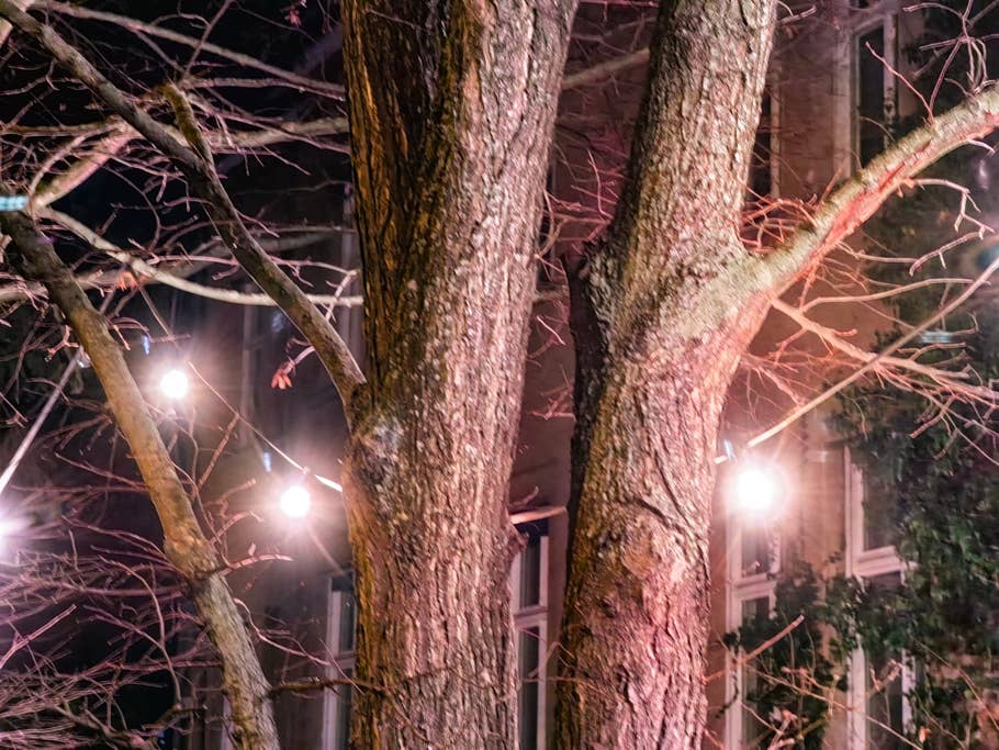 Huawei Mate 50 Pro Testfoto