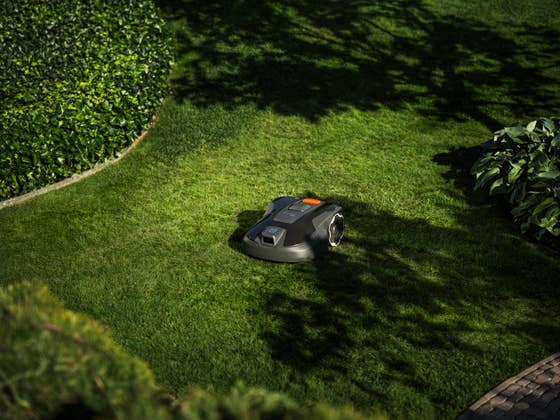 Husqvarna wird günstiger! Mähroboter mit neuem Mähkonzept