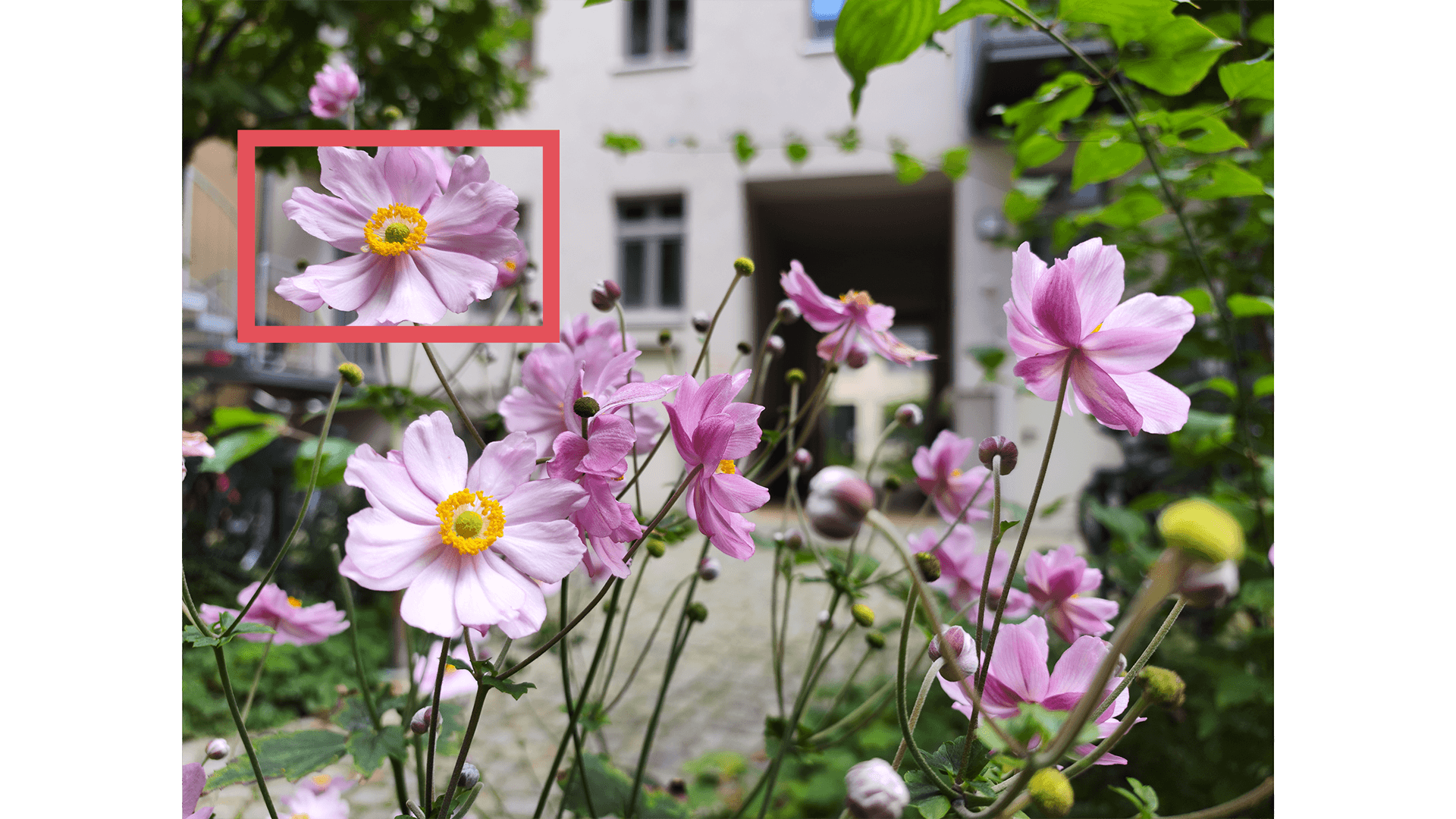 200-Megapixel-Blindtest: Referenzbild