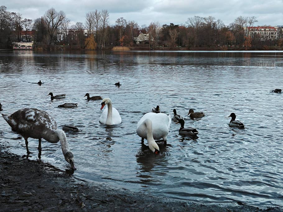 Mit dem Xiaomi 13 erstellte Testfotos