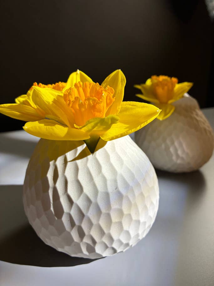 Testfoto: Apple iPhone 16e