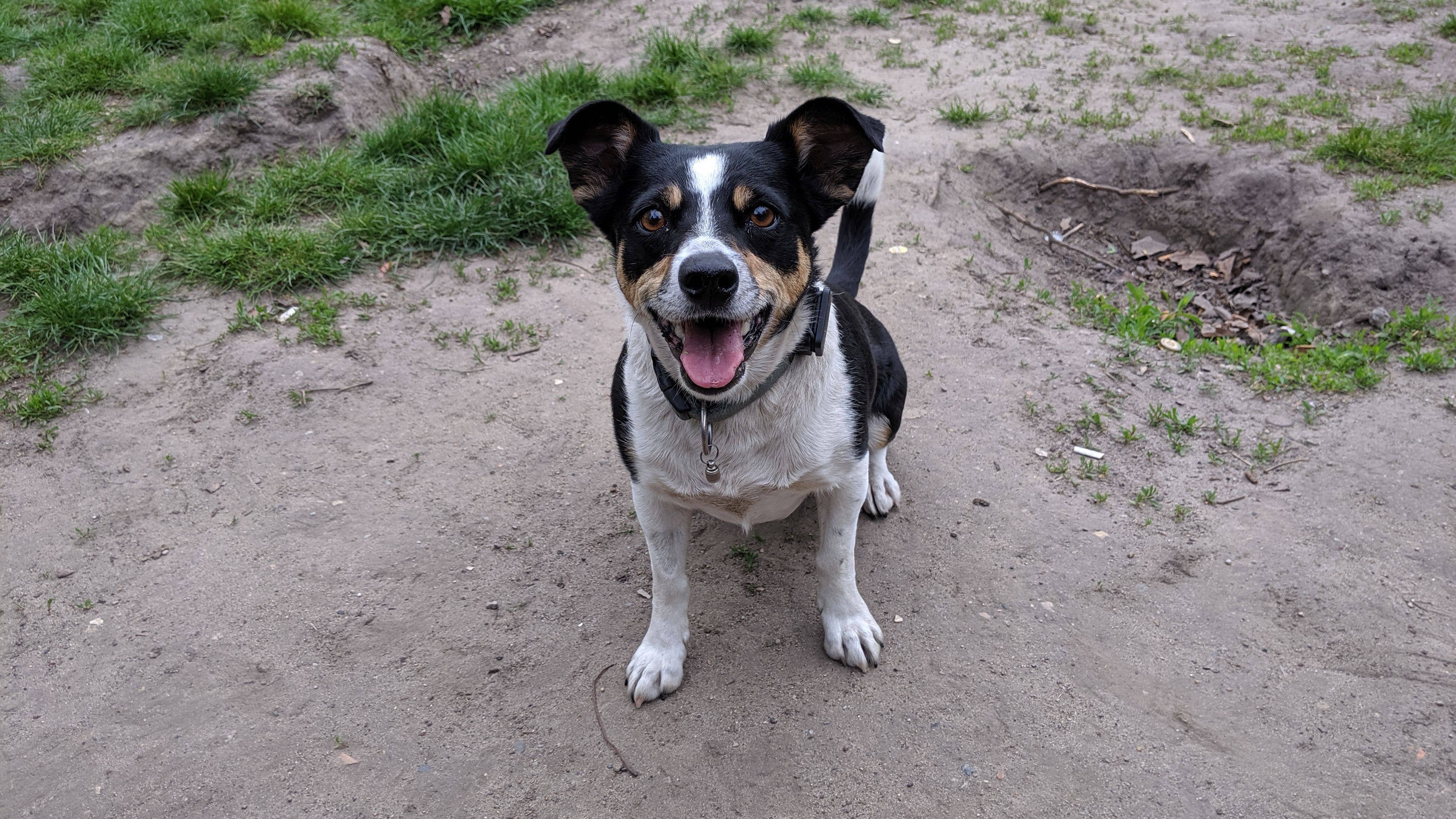 invoxia gps tracker lutzi apit 01