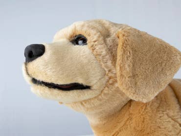 Roboter-Welpe Jennie auf der CES 2026