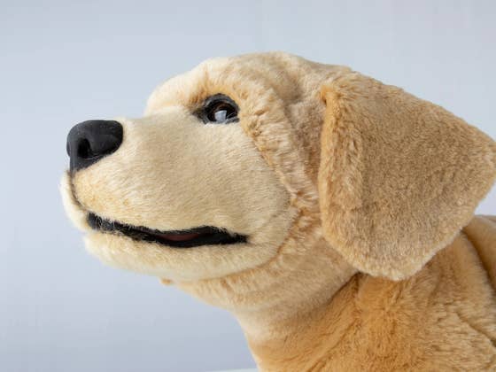 KI zum Kuscheln: Wie dieses täuschend echte Hündchen unseren Alltag verändert