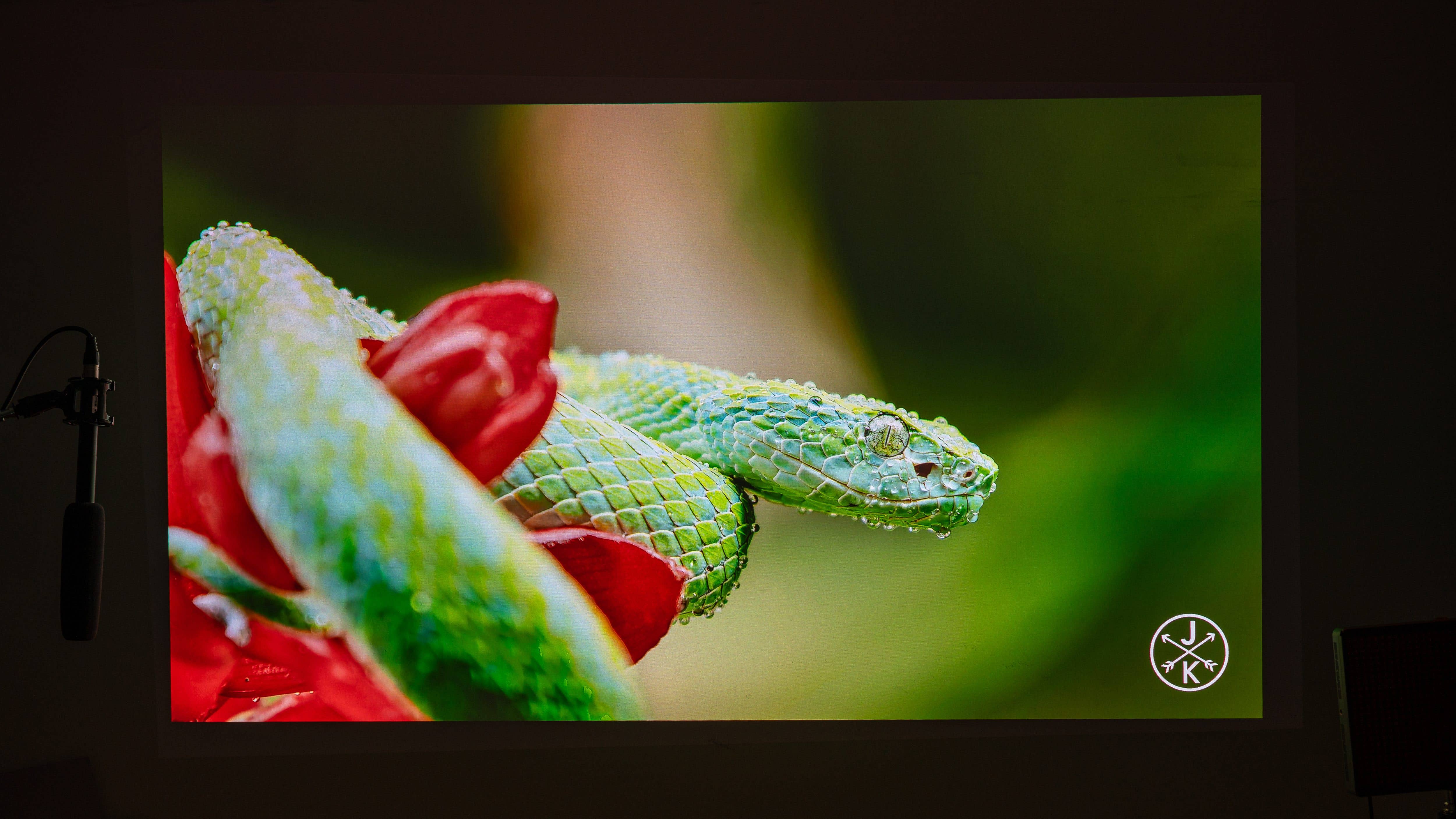 JMGO N1 Ultra Bildqualität