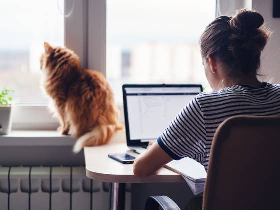 Schluss mit Home Office: Was lockt Euch zurück ins Büro?