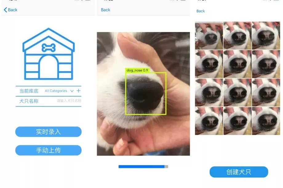 megvii dog app