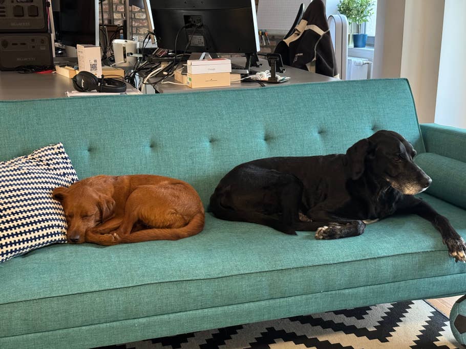 Apple iPhone 15 Pro Testfoto