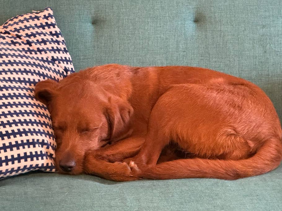 Apple iPhone 15 Pro Testfoto