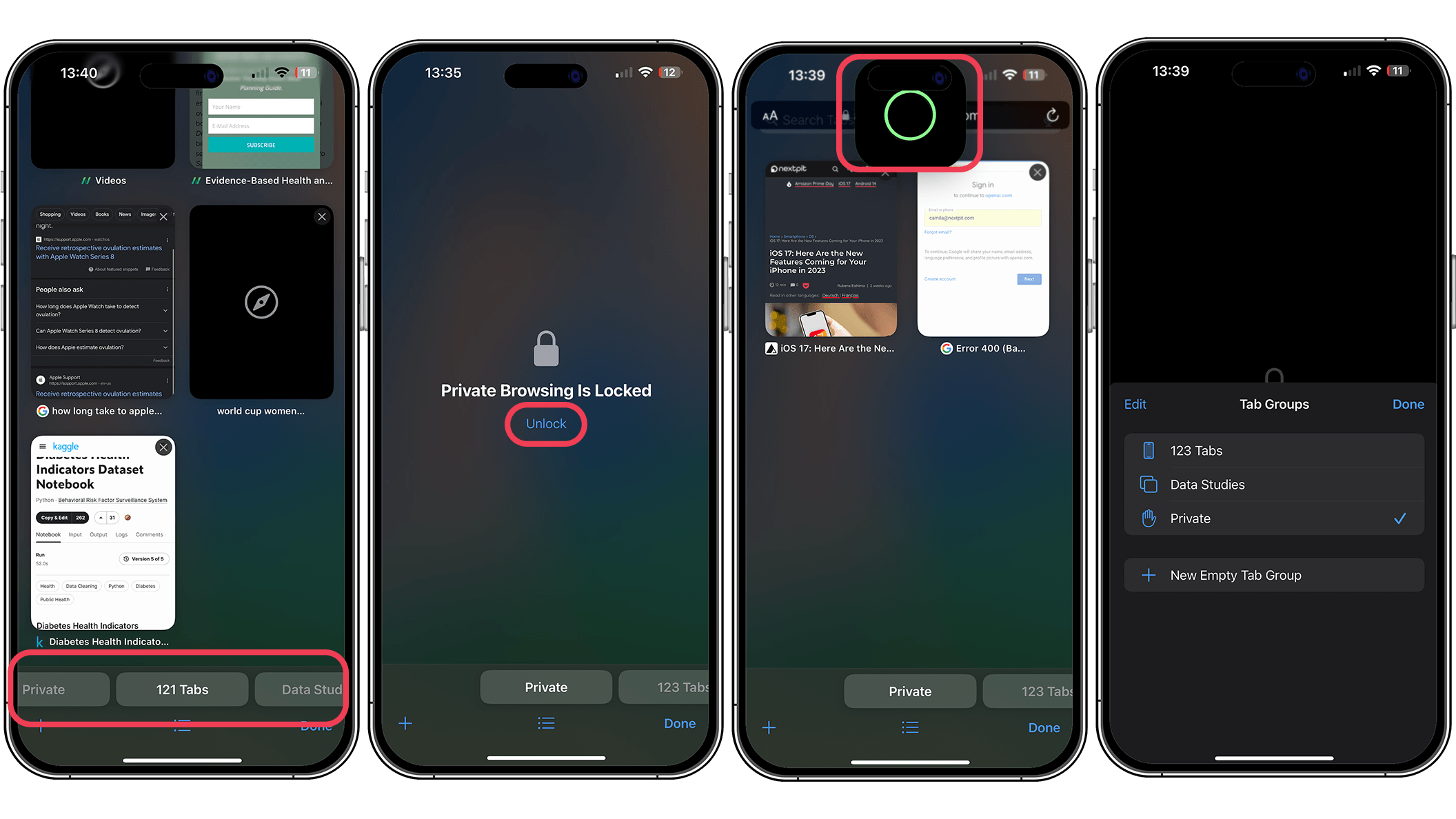 Screenshots vom Safari Private Browsing Locker