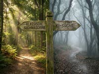 Eine Weggabelung im Wald mit einem Schild: Links 