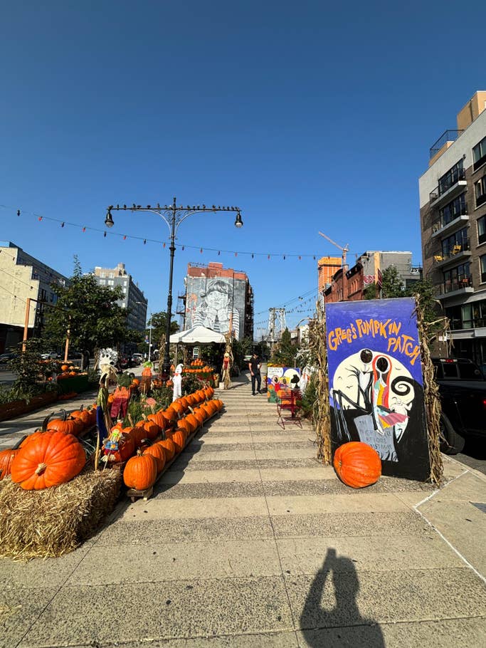 Apple iPhone 15 Testfotos