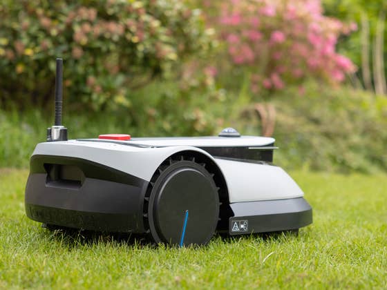Mähroboter im Oktober? Dieser Deal macht selbst im Herbst richtig Sinn!