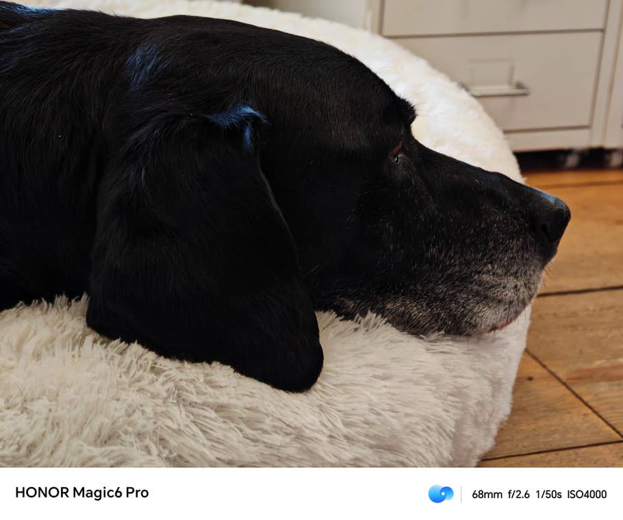 Testfoto mit dem Honor Magic 6 Pro