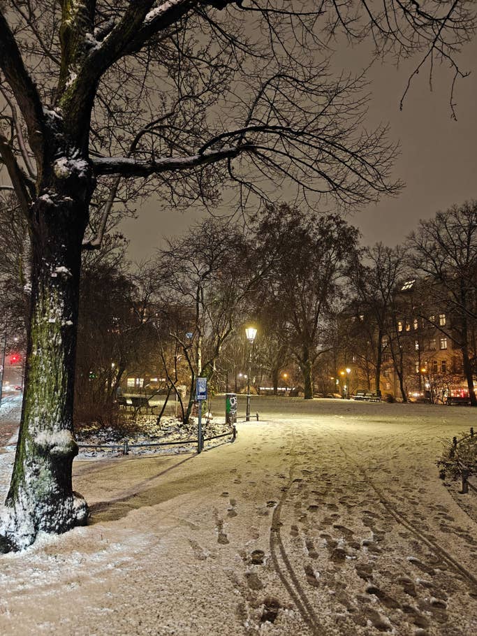 Ein verschneiter Park bei Nacht mit Bäumen, Straßenlaternen und Fußabdrücken im Schnee.