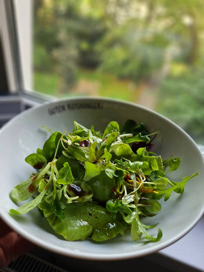 Samsung Galaxy Z Flip 5, review, camera samples