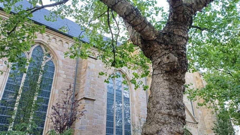 Beispöielfoto des Poco M6 Pro