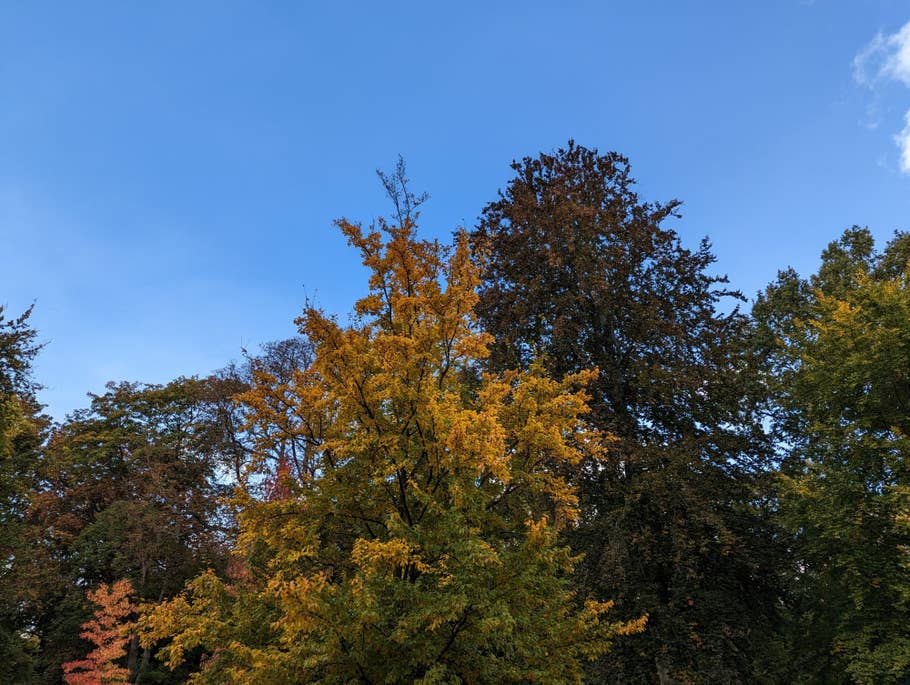 Google Pixel 7 – Testfoto