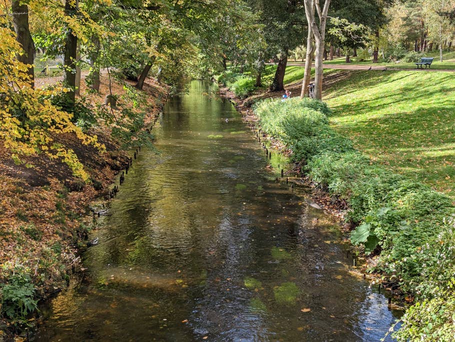 Google Pixel 7 – Testfoto