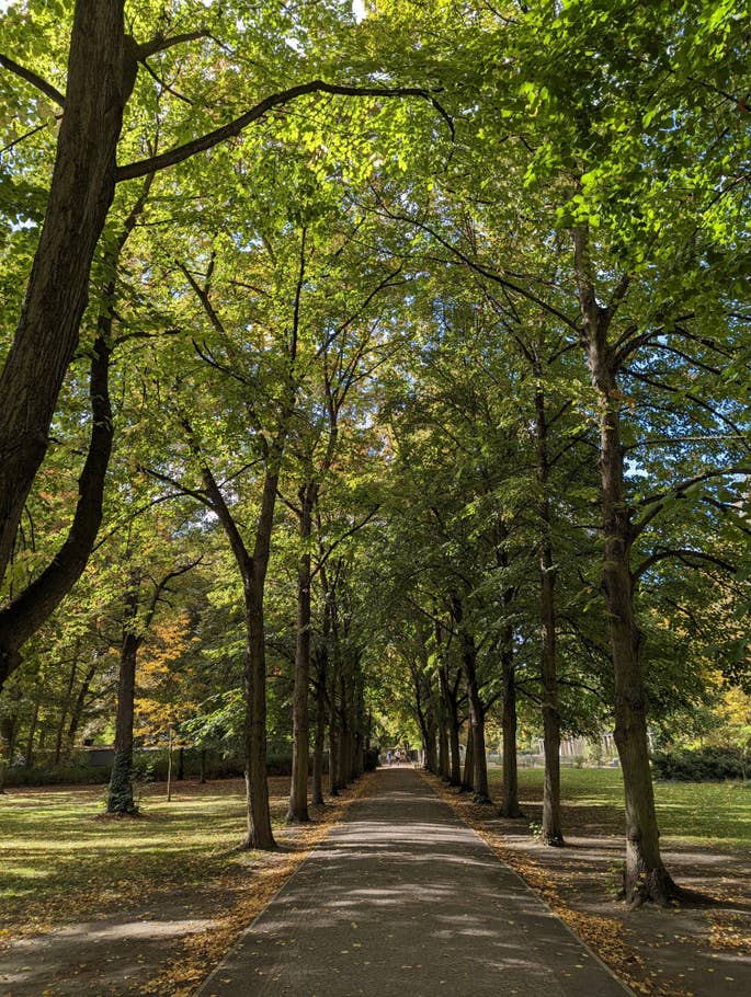 Google Pixel 7 – Testfoto