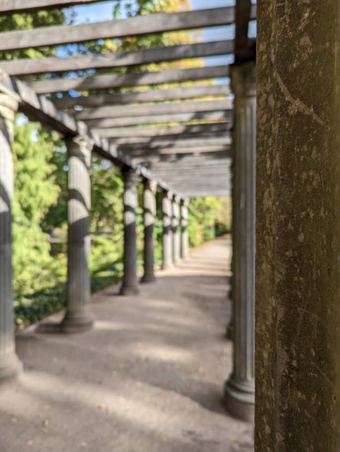 Google Pixel 7 – Testfoto